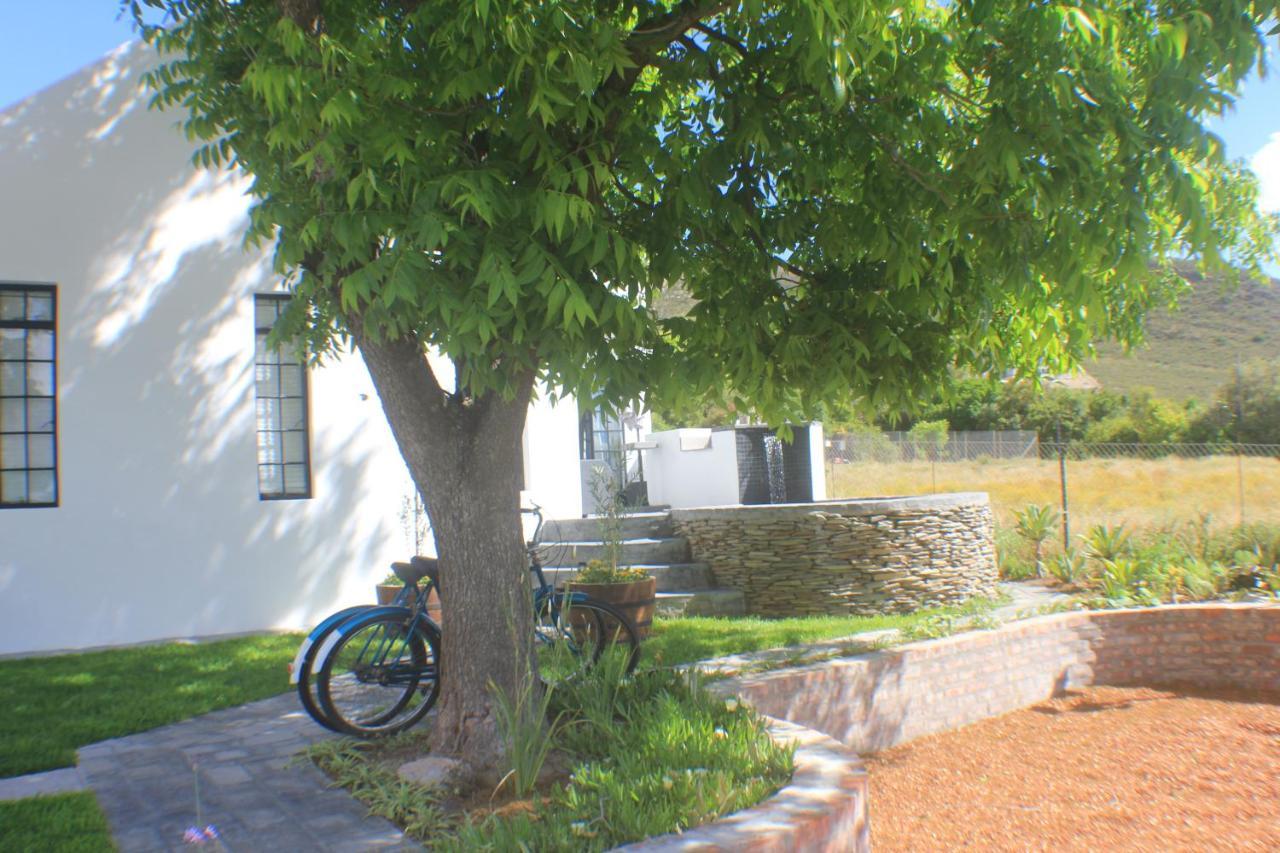Pecan Tree Cottage مونتاغو المظهر الخارجي الصورة